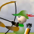 Animal Hunter